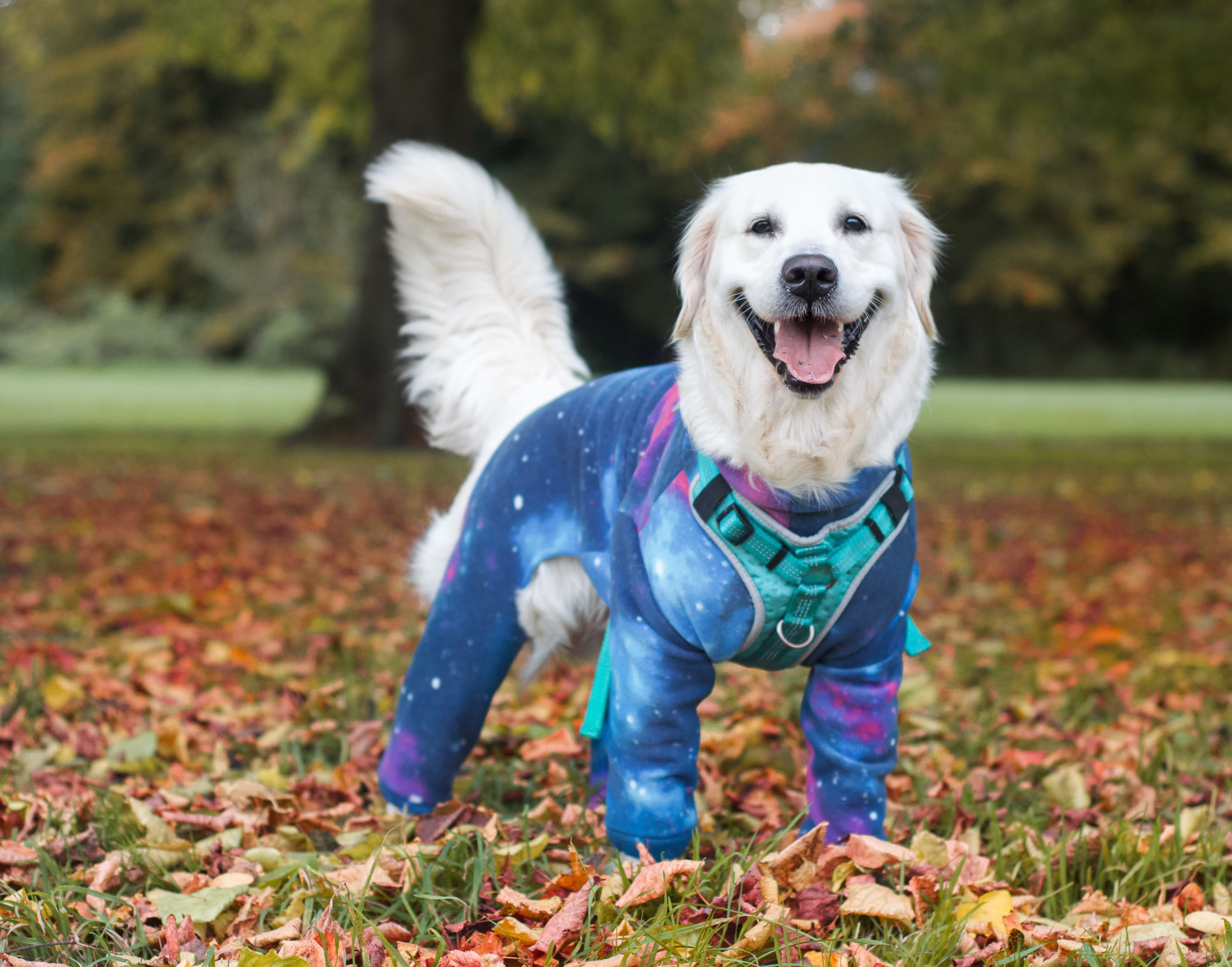 Patterned Full Body Walkies fleece - Made to measure