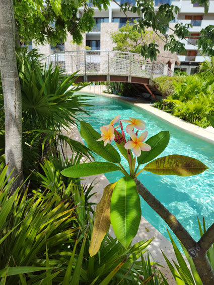 Lazy River Flower