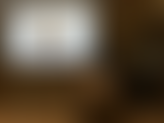 Succès pour l'atelier annuel de la Chaire AEM