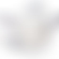 Nouveau service de microscopie électronique à balayage