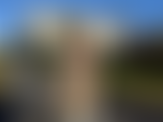 Une bourse (Young Mining Professionals) pour Yasaman Nemati