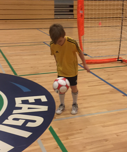 IMG_0013_edited_edited