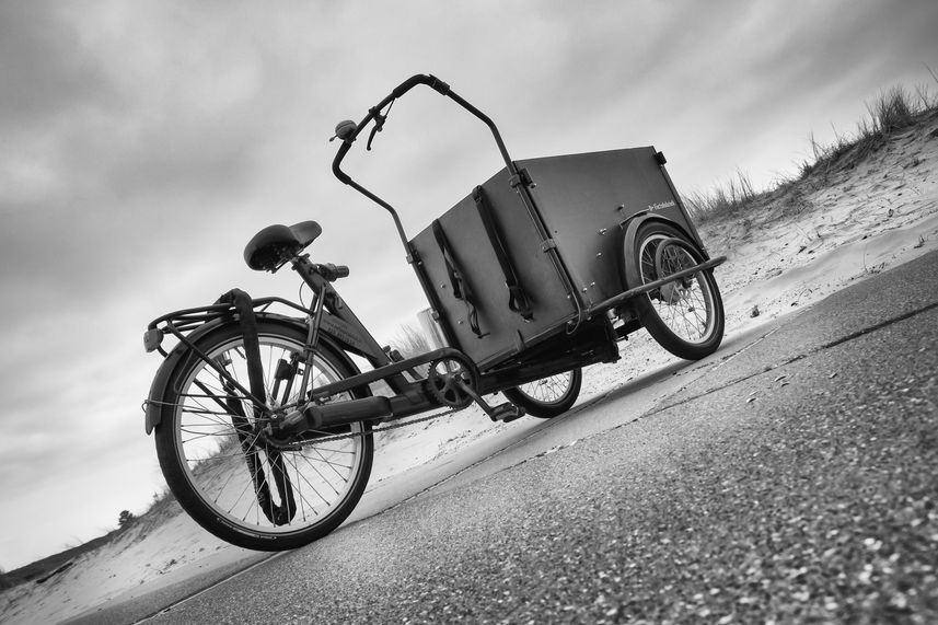 DSC04611-3-BW.JPG