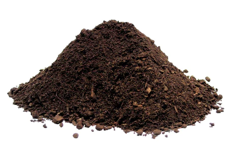 Organic Compost