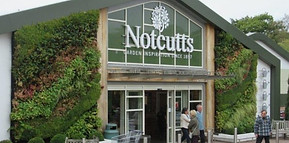 Notcutts-740x431.jpg