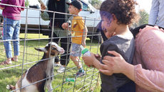 An outdoor, sunlit photograph capturing a touching moment at a petting zoo. A mother wearing a black hijab and a light green button-up shirt is holding a young child. The child, seen from the back with curly hair and a grey t-shirt, is holding a small green bottle to feed a spotted kid goat. The goat is standing on its hind legs against a wire fence, reaching for the bottle. Next to them, an older boy in an orange t-shirt and a baseball cap watches intently. In the background, other people and a white truck are visible.
