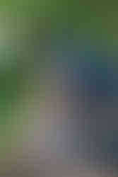 A man wearing a patriotic-themed bucket hat and sunglasses sits in a blue camping chair, smiling at the camera. In front of him, a young boy in a baseball cap and a white t-shirt sits in a smaller blue chair, holding a fishing pole and also smiling at the camera. They are on a shaded, wooded bank by a pond.