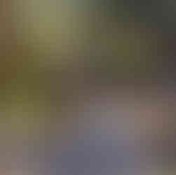 A paved walking trail winds through a sun-dappled forest area. The path features stone-lined edges and a dark center stripe, splitting into two directions in the foreground. Tall evergreen and deciduous trees line the trail, with golden sunlight filtering through the leaves and a classic black lamp post standing to the right of the path.