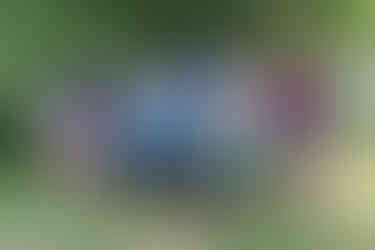 A large group of adults and children stands in a grassy area in front of a green, leafy background. On the left, an adult woman in a white t-shirt and shorts stands next to an adult woman in a black "MAKE AN IMPACT" t-shirt and white shorts. A young girl with a trophy stands in front of them. In the center, a man in a black polo shirt and a man in a tan polo shirt stand behind a young boy in a light blue t-shirt and dark shorts, who holds a trophy and certificate. Next to them, a man in a blue t-shirt stands behind a younger boy in a dark blue shirt and shorts, who also holds a trophy. On the right, a man in a white t-shirt stands next to a man in a dark red polo shirt and shorts. A young boy in a light blue t-shirt, shorts, and a baseball cap holds a trophy and certificate in front of them. On the far right, an adult woman in a black t-shirt and jean shorts stands next to the man in the red polo. All the children are smiling and holding trophies.