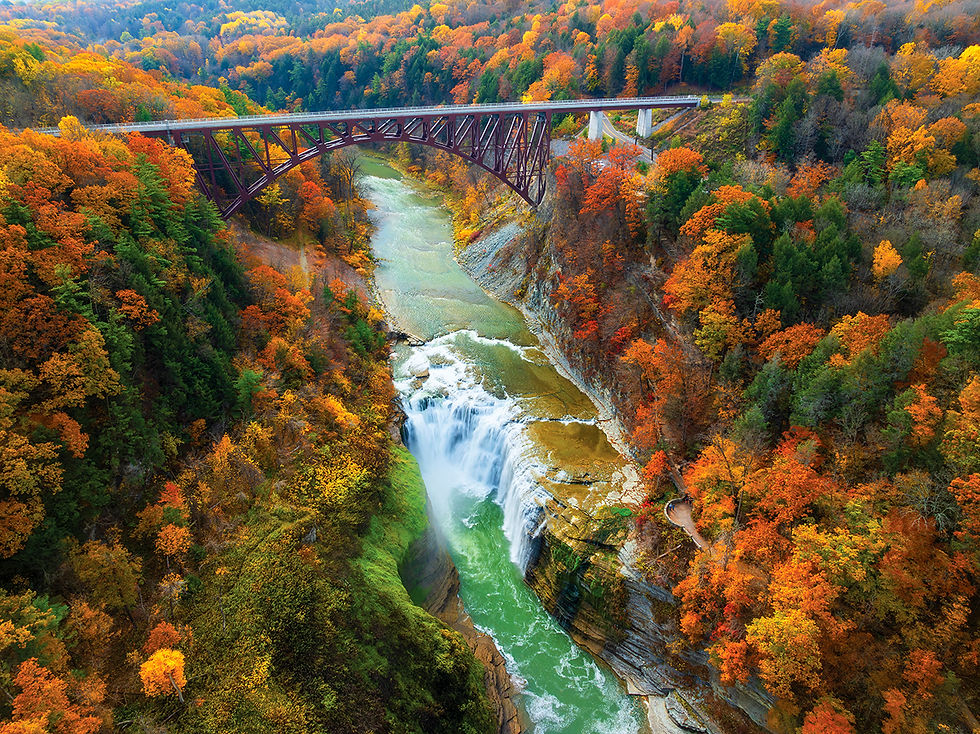 An aerial photograph capturing a dramatic waterfall within a deep, rocky gorge during peak autumn. The river flows through the gorge, plunging over the wide waterfall. The steep gorge walls and surrounding landscape are a dense, continuous tapestry of trees in brilliant fall colors—reds, oranges, and yellows. A large, arched steel truss bridge spans the gorge high above the falls in the distance. The water is a mix of white rapids at the falls and a calmer, greenish channel below. A small walking path with railings is visible on the right cliff near the falls.