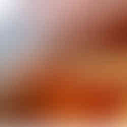 Alicia Tavani performs a high martial arts kick while standing on the edge of a massive, sunlit red rock formation in a desert canyon. The scale of the towering sandstone walls highlights her strength and precision in a dramatic natural setting.