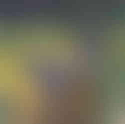 A deer is standing in a grassy field with its head turned to the side.