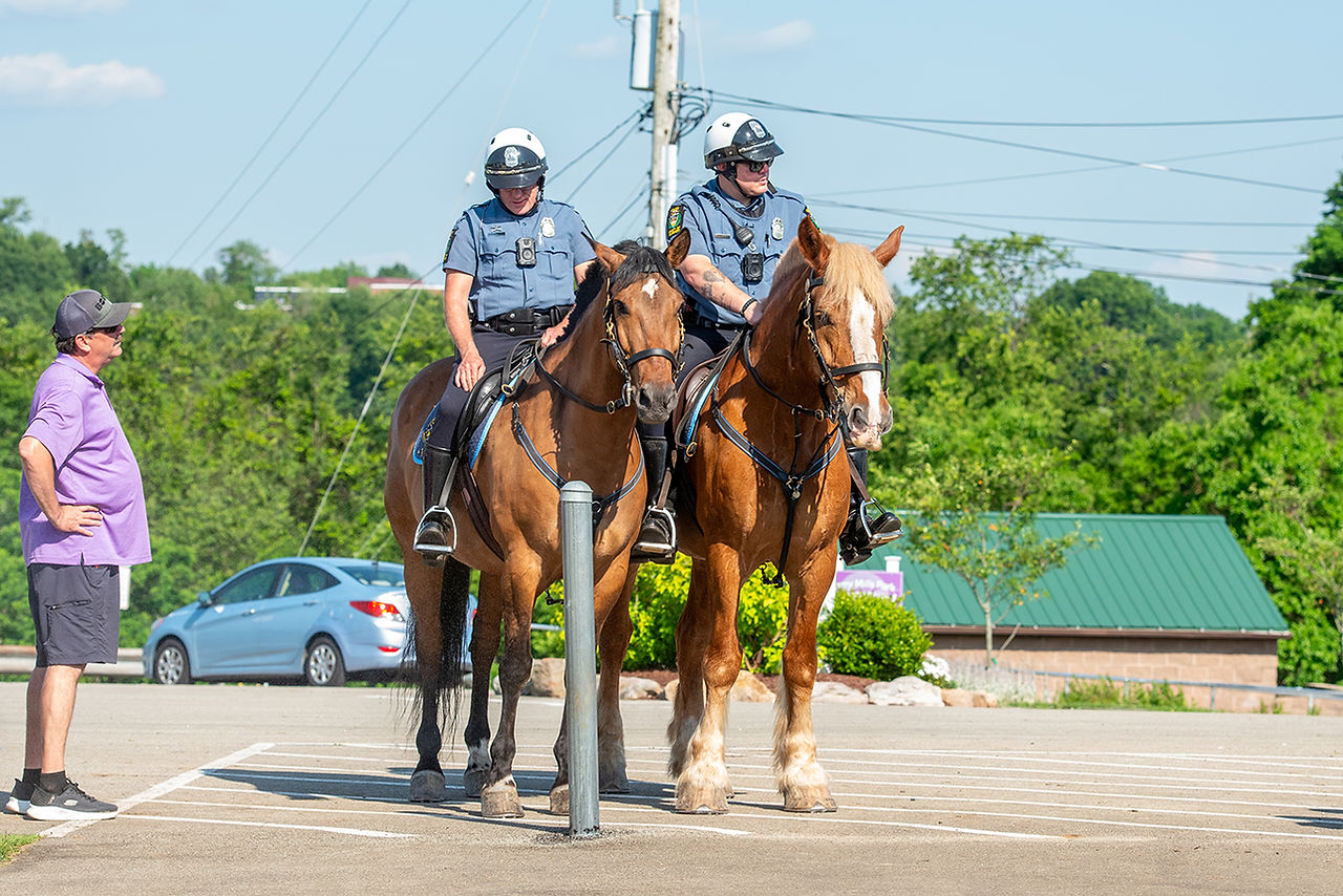 Plum’s SummerFest 2025 dazzled families and friends at Larry Mills Park from June 19-21, bringing the community together for three days of food, games, carnival rides and other family fun.