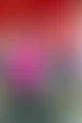 A woman in a pink shirt and baseball cap is doing face painting for a smiling young girl in a chair under a red and white striped tent.