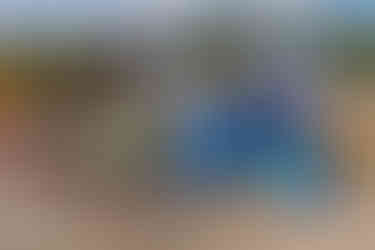 A boy throws a ball at a target on a dunk tank at a festival. A person is sitting inside the cage of the dunk tank.