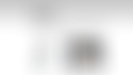 Peters Township High School Fencing Club celebrates a winning season.