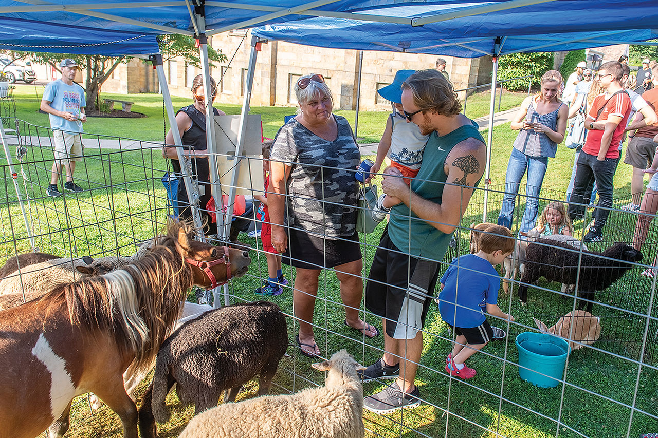 Festival visitors gather around a petting zoo pen, with small horses, sheep, and a child reaching out to pet the animals.