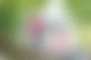 A family of three stands on the grassy bank of a pond on a sunny day. A man in a pink t-shirt smiles at the camera, a girl with a blue dress holds up her fishing rod with a fish on the line, and another girl with a pink top and shorts stands beside her, smiling.