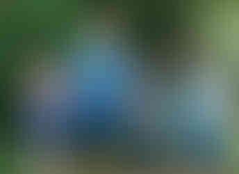 Four children, three boys and one girl, stand side-by-side in front of a leafy green hedge. They are each holding a trophy with a fish on top and a certificate. The girl on the far left, with a big smile, wears a blue patterned top and shorts. The boy next to her, who is taller than the others, wears a blue t-shirt and dark shorts. To his right, a boy in a dark blue t-shirt with a monster graphic smiles at the camera. The boy on the far right wears a light blue t-shirt, shorts, and a colorful baseball cap.