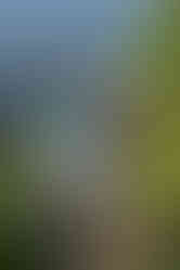 A young boy with light hair and a green shirt sits on a white bucket on the bank of a pond, holding a fishing pole. An older man sits on a bucket beside him, smiling.