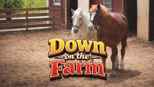 A detailed photograph of a white horse and a chestnut horse with a blaze, standing side-by-side in a well-used dirt barnyard paddock in front of a rustic red barn. A stylized, 3D red, orange, and yellow title overlay is centered in the foreground, reading "Down on the Farm."
