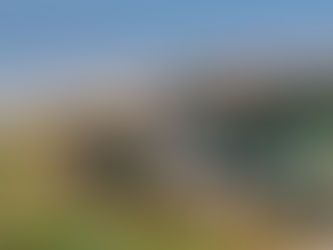 An aerial view of the Wild Dunes Resort showing a large beachfront hotel, numerous multi-story luxury homes and villas, and parts of a manicured green golf course bordering the wide, sandy beach and the blue ocean.