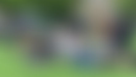 Castle Shannon Community Day!