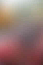 Ohio Township Hosts a Fun-Filled Community Day Celebration