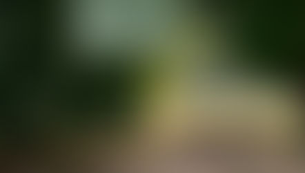 The Schoolhouse, Fairview, PA