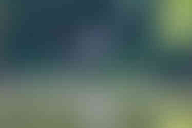 A man and a boy stand on the grassy bank of a pond, holding fishing poles and casting their lines into the water. The pond's surface reflects the surrounding trees and the two people.