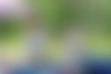 Peters Township’s 45th Annual Community Day