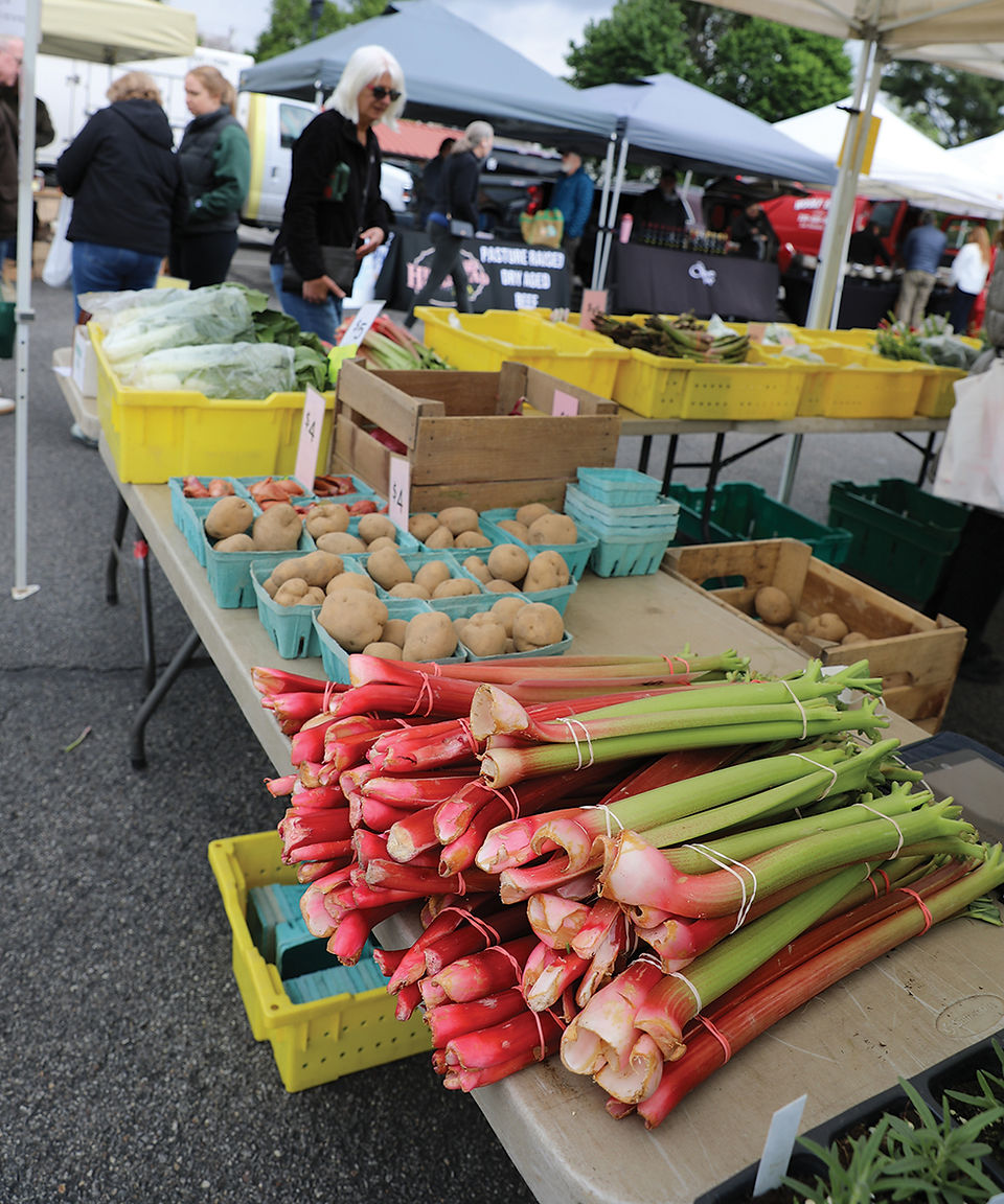 A close-up view of a farmers market table on asphalt, overflowing with produce. In the foreground, large, thick stalks of red and green rhubarb are tied into bunches with rubber bands. Behind them are small, blue-green fiber baskets filled with new potatoes. Further back are yellow plastic crates containing leafy greens like bok choy and loose potatoes. Handwritten price signs ("$4") are visible. People mill around other stalls in the background under tents.
