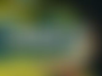 A serene, sunny day in a community park, viewed from under the dappled shade of a large, mature tree. A detailed, classically designed wooden bench sits prominently on a dirt path under the tree's branches. In the mid-ground, a well-manicured green lawn leads to two matching, green-roofed picnic pavilions and a neat playground area with orange-framed equipment (a swing and possibly a ladder structure), all set against a backdrop of distant, residential buildings. The stylized, cream-colored text "Park It!" is prominently overlayed across the upper-mid-ground of the image.