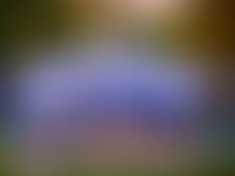 A group of McDowell Trojan lacrosse players in white jerseys with blue numbers huddle together in a celebratory circle on the field at sunset. Player number 17 is seen from the back, jumping slightly with his lacrosse stick raised high in the air, capturing the high-energy "fastest game on two feet" atmosphere described in the article.