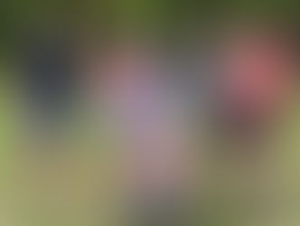 A group of five adults stand together on a grassy field, smiling at the camera, with a toddler in a pink outfit sitting in a stroller in the center, holding a small American flag.