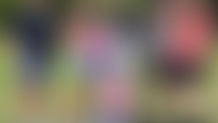 A group of five adults stand together on a grassy field, smiling at the camera, with a toddler in a pink outfit sitting in a stroller in the center, holding a small American flag.