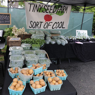 A vendor stall at an outdoor market is draped with a white banner that reads "TINY SEED FARM" over a drawing of a radish, followed by the phrase "SORT OF COOL." The black-clothed table is filled with fresh produce: in the foreground, several light blue cardboard baskets are overflowing with small, round potatoes. Behind them, clear plastic containers hold leafy greens like arugula. Further back, there are bundles of fresh herbs, additional produce wrapped in plastic, and a small sign labeled "Herbs." To the left, a wooden crate holds white radishes, and a small chalkboard sign advertises "ARUGULA CLAMSHELL BIG BAGZ."