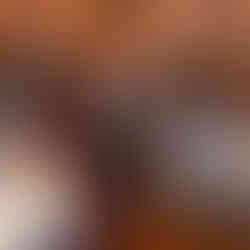 Several guests, including a man in a brown suit and a woman in a quilted vest, stand and hold up white auction paddles across a crowded ballroom at Bella Sera during the 17th Annual Symphony of Food.