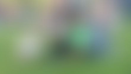 A family sits together on the grass at an outdoor concert, with a young girl in a pink shirt waving to the side while a boy in a green hoodie and two adults smile in the foreground.