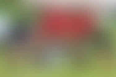 Peters Township’s 45th Annual Community Day