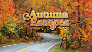 A scenic photograph looking down an asphalt country road as it curves through a dense forest filled with vibrant autumn foliage in shades of orange, red, and yellow. Overlaid on the image in the center is the stylized, ornate text "Autumn Escapes" in gold and brown.