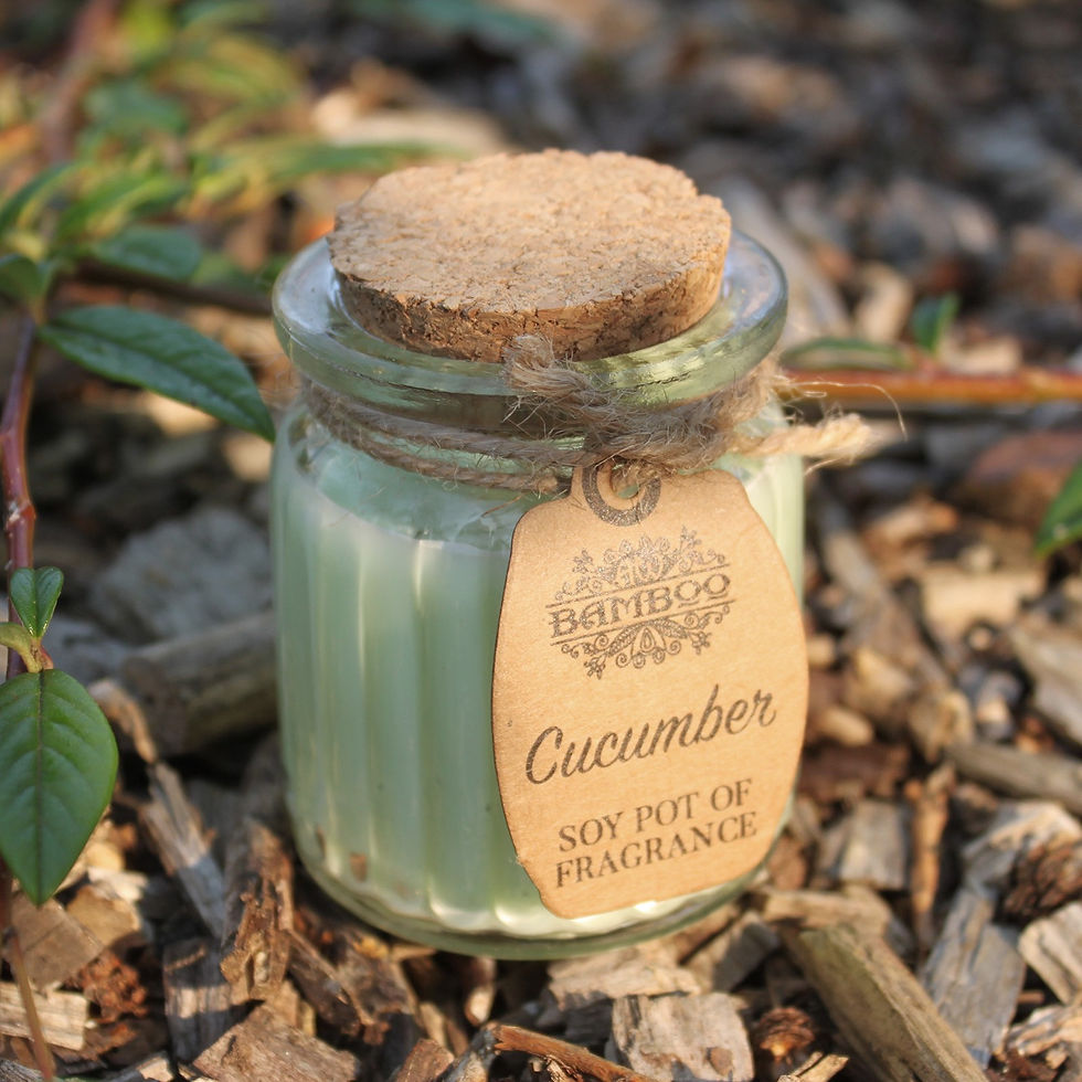 2 x Soy Pot Of Fragrance Candles - Cucumber