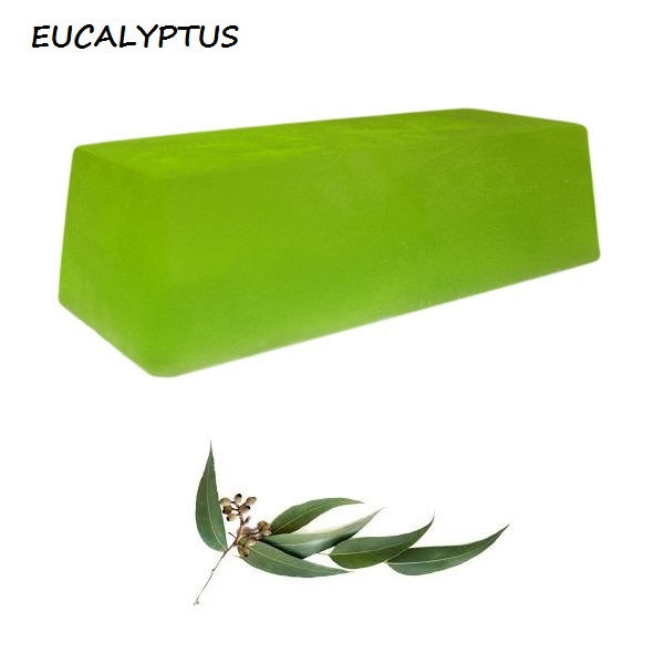 Eucalyptus Solid Shampoo