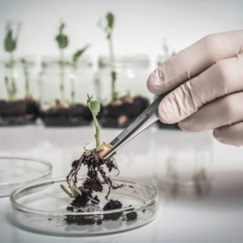 Greensphere Capital and RBG Kew sign exclusivity agreement for spinout climate and technology investments