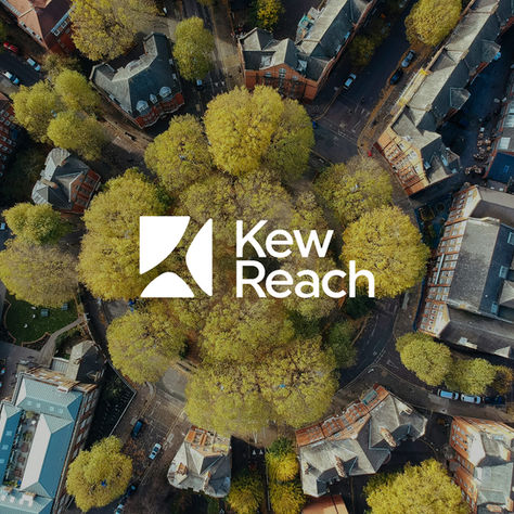 Greensphere and Royal Botanic Gardens, Kew announce their first spinout – Kew REACH