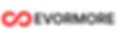 EVORMORE logo new.png