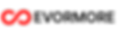 EVORMORE logo new.png
