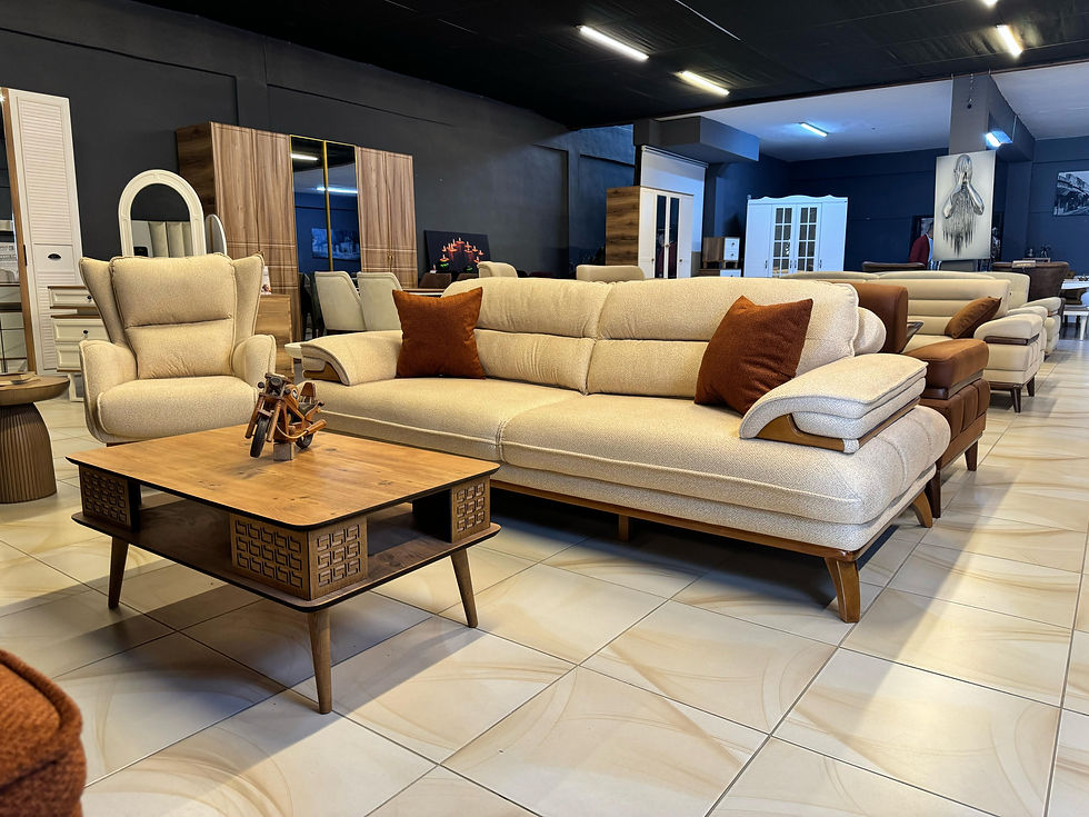 Oris Koltuk Takımı