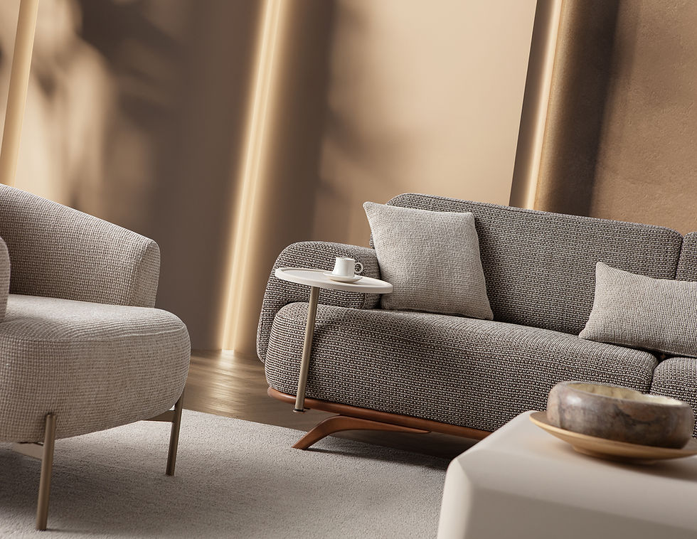 Küçük resim: Didim Koltuk Takımı