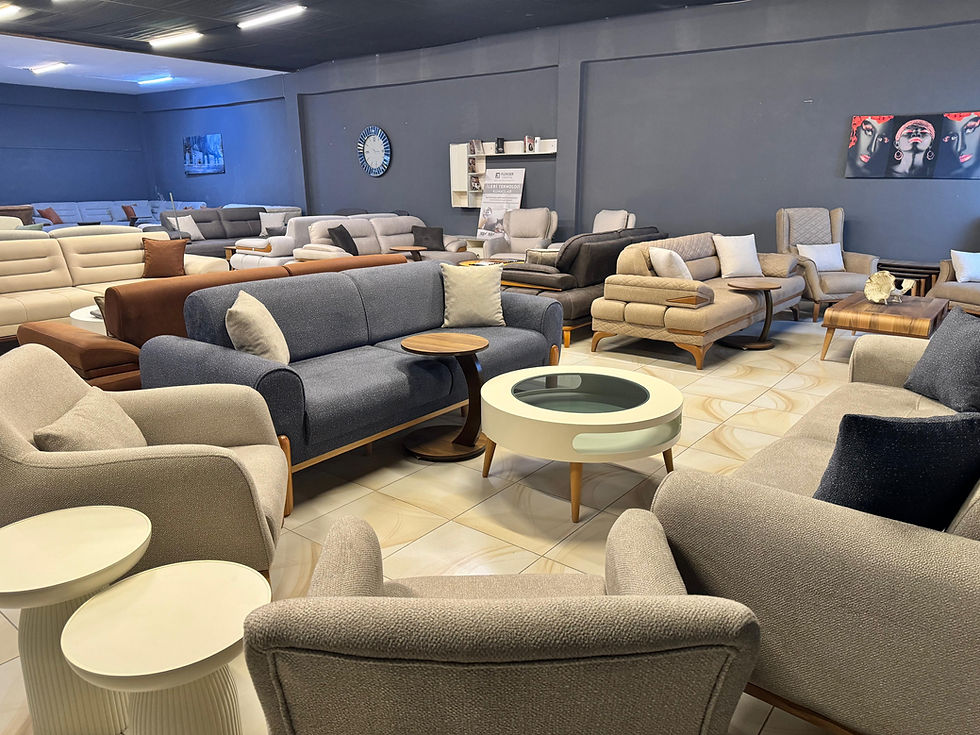 Küçük resim: EKO COZY KOLTUK TAKIMI